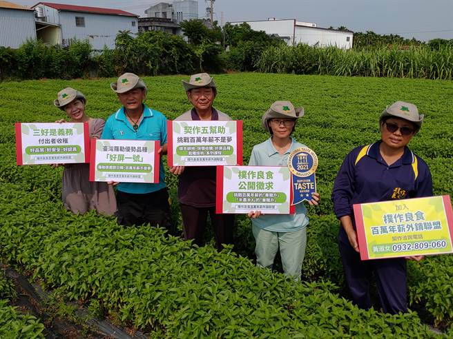 朴作良食创办人黄淑女（右一）28日携契作户女青农杨桂芩（右二）与资深农民朱国宝（左二），号召更多有志之士挑展百万年薪，盼增20公顷罗勒契作面积，力拼海外市场。（谢佳潾摄）
