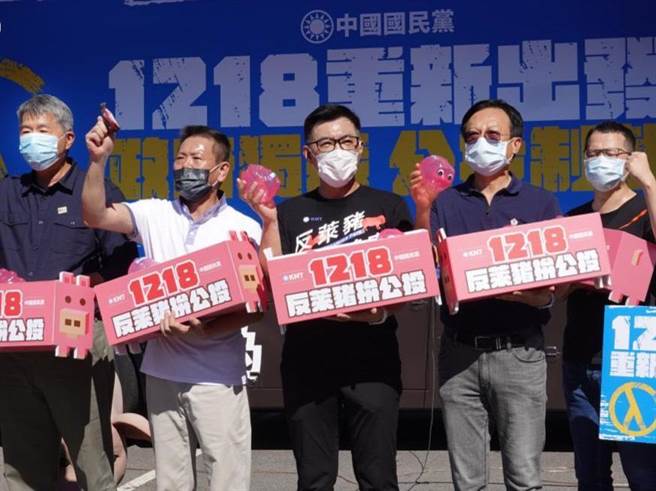 年底4項公投即將登場，國民黨卯足全力備戰。（本報資料照片）