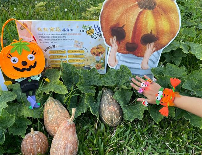 新竹县政府文化局30日将在新竹县竹北市的新瓦屋文化保存园区，举办「新竹县Hello we南瓜派对」，邀请民眾参与，深入认识新瓦屋。（庄旻静摄）