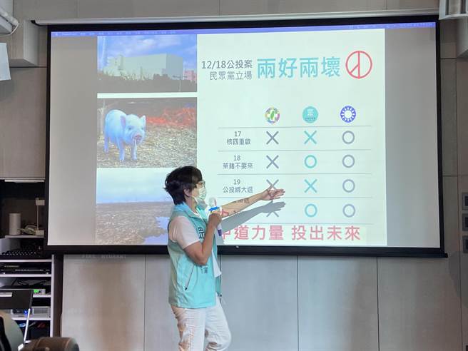 民眾党立委蔡壁如29日表示，四项公投中，民眾党主张两好两坏，现在被简化成蓝绿恶斗。（卢金足摄）