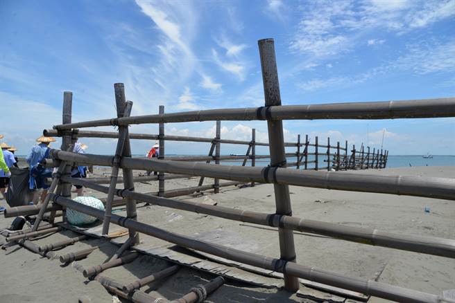 云林县长张丽善去年七月曾率县府一级主管到外伞顶洲净滩。（云林县政府提供）