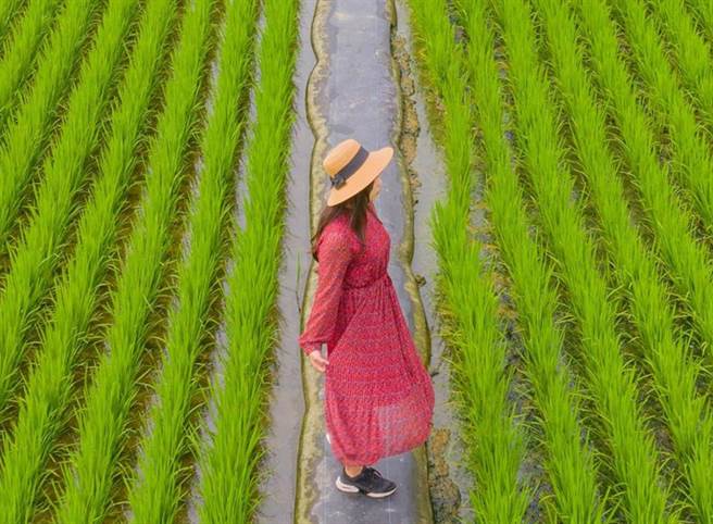 拿下银牌的「红衣大女孩」作品，得奖仅3天，奖项惨遭收回。（翻摄脸书）