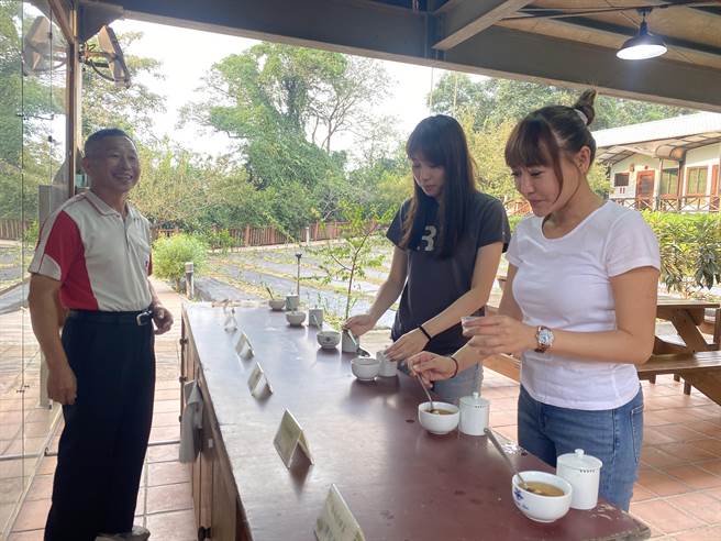水里「槑休閒农业区」九芎坪民宿坐落在一片茶园中，民宿主人陈敏聪在茶园内提供茶叶体验活动，从台湾茶的介绍解说，到透过品香、品茗让游客加深茶叶知识。（冯惠宜摄）