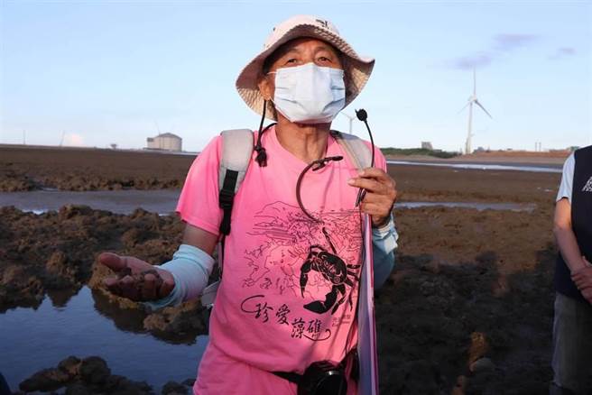 藻礁公投領銜人潘忠政曾多次帶領媒體、立委、議員等人實地到大潭藻礁現勘。（陳夢茹攝）