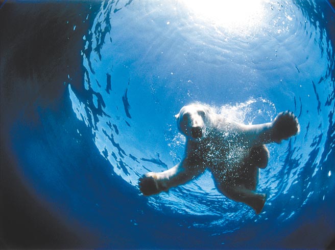 根據G20峰會公報草案，20國領袖同意「立即採取行動」，以便實現在2050年之前將全球均溫上升控制在1.5°C內。（中新社）