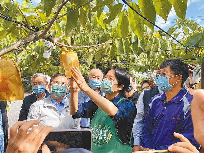副总统赖清德（中）29日至台东县卑南乡番荔枝（释迦）集货场体验释迦套袋工作。（蔡旻妤摄）