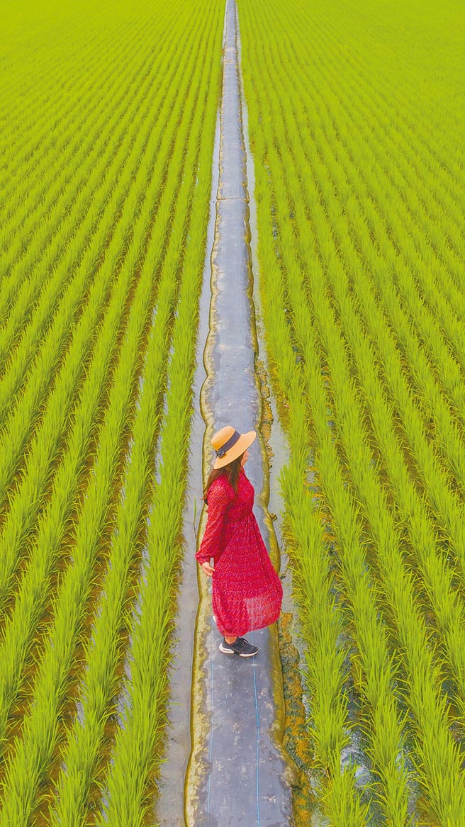 雲林縣「雲林之美空拍比賽」，銀牌〈紅衣大女孩〉引發爭議遭取消。（摘自2021我愛雲林之美臉書）