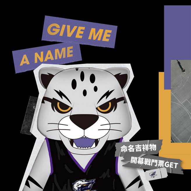 球迷希望这只桃园云豹吉祥物叫什么名字呢？(桃园云豹提供)