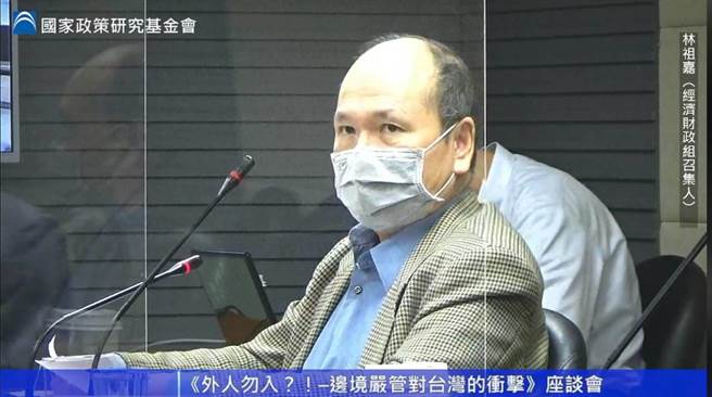 國政基金會經濟財政組召集人林祖嘉(截自國政基金會直播畫面)