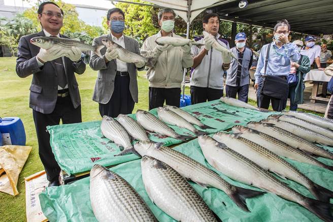 漁業署副署長林國平（左）和縣長楊文科（左二）等人向民眾推銷新竹縣烏魚。（羅浚濱攝）