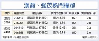 軋空秀熱映 漢磊、強茂權證拉風