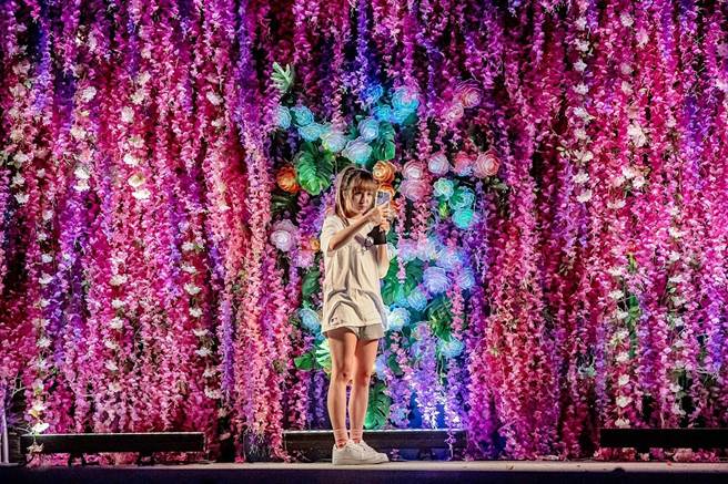 1日開展首日，KANO園區內粉色花海滿布的5米高心牆，花與光影交織，成為期間限定最佳打卡拍照景點。（嘉義市政府提供∕呂妍庭嘉義傳真）