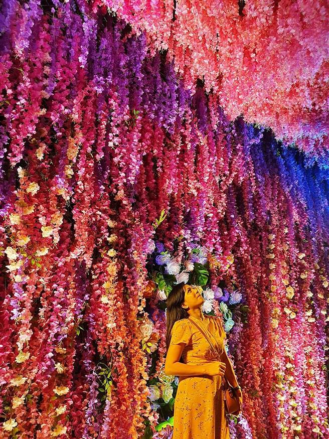 1日開展首日，KANO園區內粉色花海滿布的5米高心牆，花與光影交織，成為期間限定最佳打卡拍照景點。（嘉義市政府提供∕呂妍庭嘉義傳真）