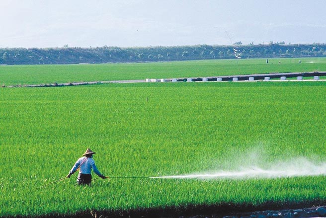 為改善農產品食安，農委會2017年提出「化學農藥十年減半」政策，民進黨立委林岱樺昨日在立法院經濟委員會上指出，2019年國內化學農藥用量只比2018年略減1.7%，且近2年農藥產銷更是不減反增。圖為農民噴農藥畫面。（農委會提供）