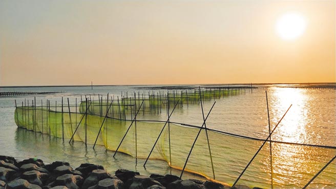 110年度为期4个月的鳗苗捕捞渔季1日展开，近来因疫情趋稳，成鳗价格已一路看涨，虽未恢復市场水平，但预期将带动鳗苗价格。（嘉义县政府提供／吕妍庭嘉义传真）