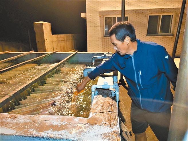 培育人员小心的将已经开始发育的受精卵移至育苗池中照料。（新北市渔业处提供／王扬杰新北传真）