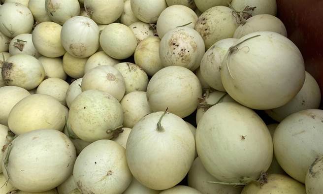 简秀枝》果园「心」体验 粒粒皆辛酸
。(图/爱传媒提供)