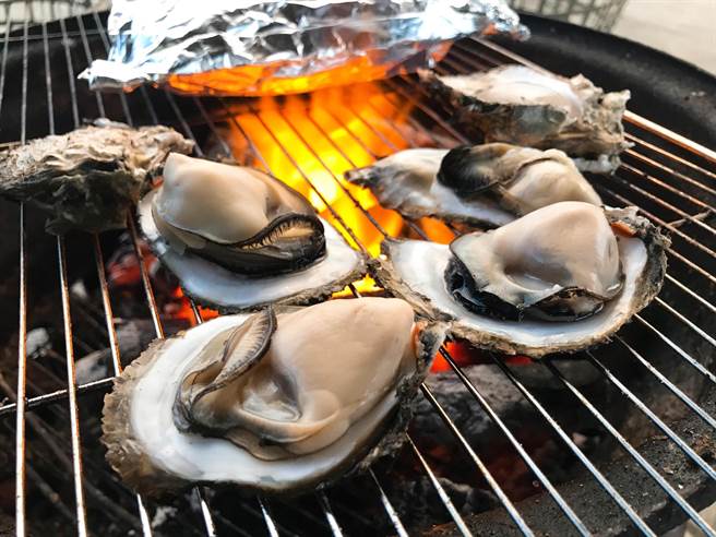 台南盛产期的蚵仔肥大饱满，蚵农黄柏恩指出今年蚵仔价格与去年持平。（黄柏恩提供／张毓翎台南传真）