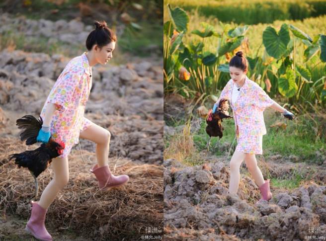 林允在微博晒出抓鸡、做菜超接地气的照片，但一双白嫩美腿太吸睛，吸引网友狂讚。(图/ 摘自林允微博)