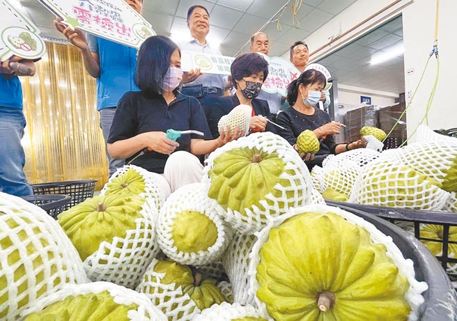 中央保證會外銷5000噸鳳梨釋迦至今沒下文，台東縣長饒慶鈴向農委會喊話，要信守承諾。（本報資料照片）