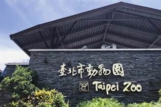 大陸人看台灣》逛台北動物園帶來的思考