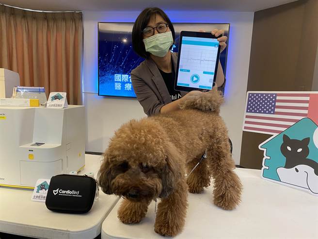 香港 Aniware公司所研发的CardioBird，为全球首创专为动物设计的心臟检测的AI平台，只要30秒就能简易取得宠物心电图。(冯惠宜摄)