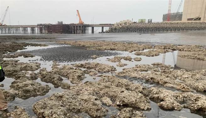 《国家地理杂志》讨论藻礁议题遭到出征，让许网友都感到十分傻眼。（本报资料照）