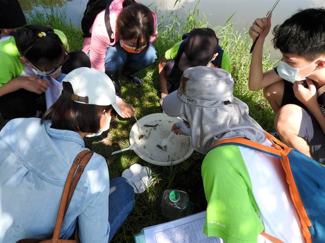 新北水环境巡守队表扬 鹿角溪巡守队员小四就加入。（新北市环保局提供）