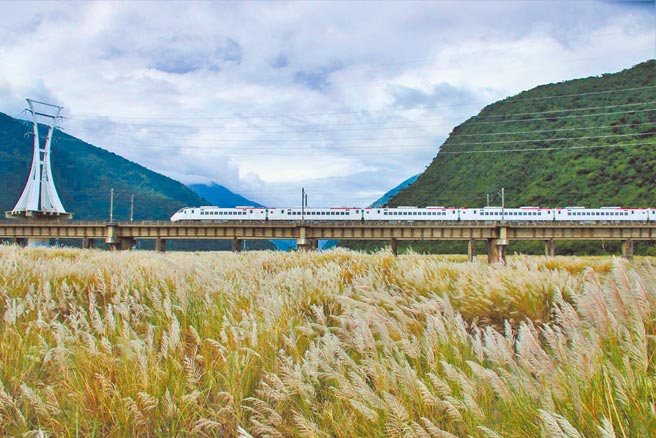 宜蘭多處開滿了甜根子草，放眼望去一大片銀白色花海十分迷人。圖為和平溪。（第一河川局提供／胡健森宜蘭傳真）