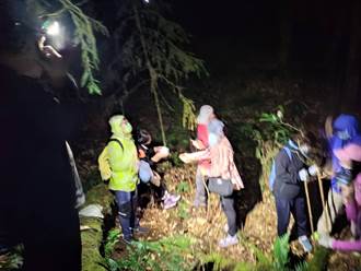 30名高齡山友登忘憂森林迷路受困 消防局花12小時成功救援