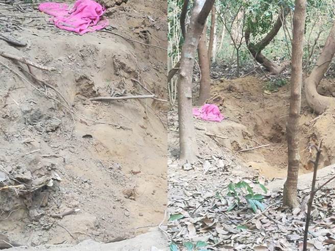 苗栗父母殴打2岁儿子致死后埋尸，竟持续向政府诈取育儿津贴；警方起初发现生母的4个孩子中有1子不见，追查得知遭杀害。（读者提供）