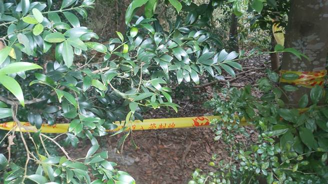 苗栗父母涉嫌對2歲兒子管教不當致死後埋屍，竟持續向政府詐取育兒津貼。（讀者提供）