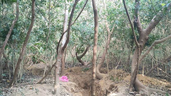 苗栗父母殴打2岁儿子致死后埋尸，竟持续向政府诈取育儿津贴；警方起初发现生母的4个孩子中有1子不见，追查得知遭杀害。（读者提供）