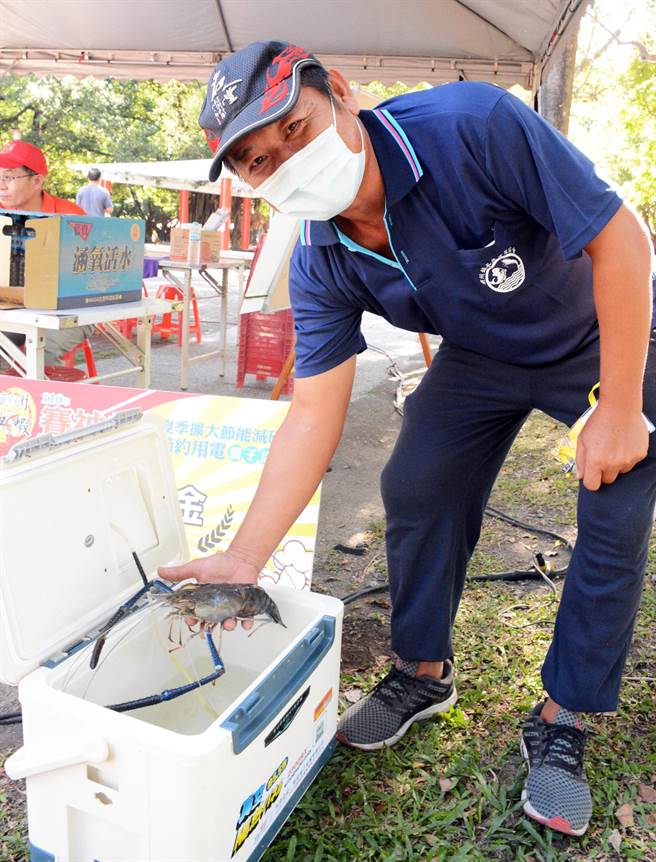 虾农曾世良首次参加赛神虾便拿下冠军。(林和生摄)