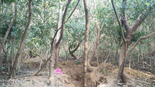 苗栗父母毆打2歲兒子致死後埋屍，竟持續向政府詐取育兒津貼；警方起初發現生母的4個孩子中有1子不見，追查得知遭殺害。（讀者提供）
