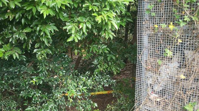 一名2岁男童疑似受到父母不当管教致死，被埋在苗栗竹南科学园区的偏僻山林。（读者提供／罗浚滨苗栗传真）