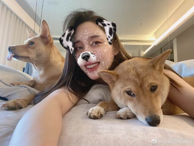 欧阳妮妮PO晒狗床照，柴犬和房间都被怀疑是张书豪的。（图／微博@欧阳妮妮）