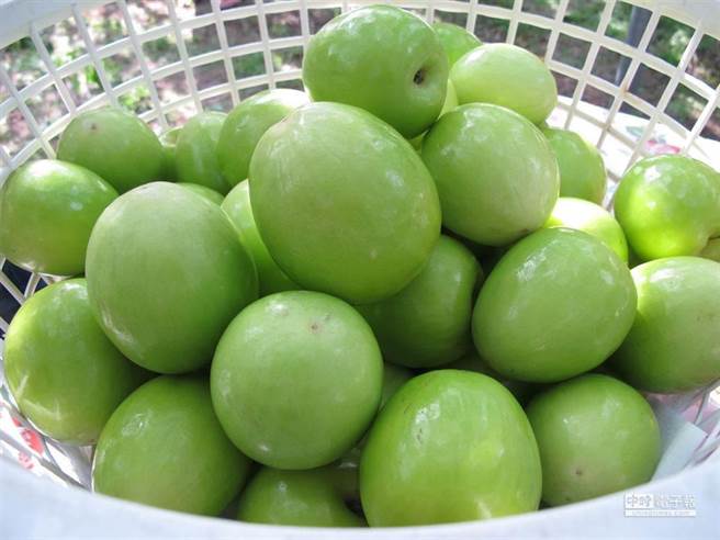 蜜枣。（图/本报系资料照片，柯宗纬摄）