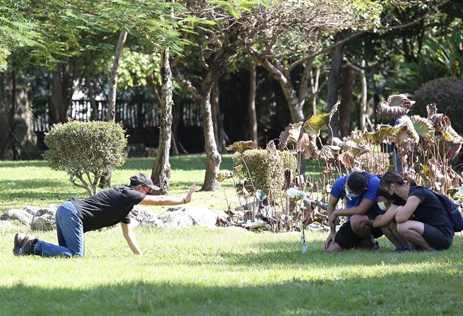 周一开始受较强东北季风影响，温度将明显转凉，民眾趁着变天前的好天气，出门享受阳光。(陈俊吉摄)