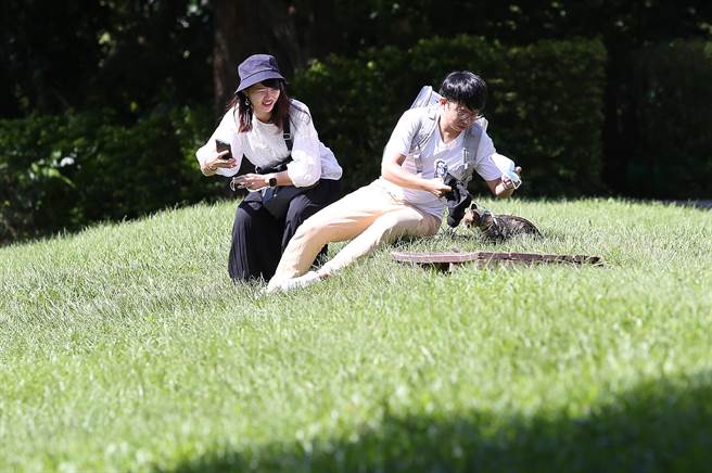 周一开始受较强东北季风影响，温度将明显转凉，民眾趁着变天前的好天气，出门享受阳光。(陈俊吉摄)