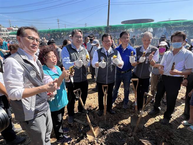 鄭文燦挖出熱騰騰的台農57號觀音地瓜當場開嗑，直讚又香又甜又棒。(蔡依珍攝)