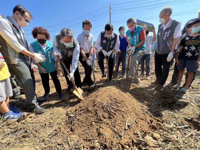 鄭文燦挖出熱騰騰的台農57號觀音地瓜當場開嗑，直讚又香又甜又棒。(蔡依珍攝)