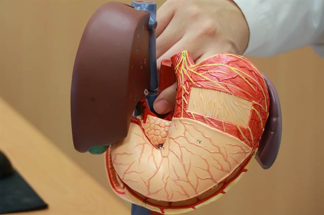 病人腫瘤位腫瘤位於肝臟後面、脊椎旁邊。（台中慈濟醫院提供／陳淑娥台中傳真）