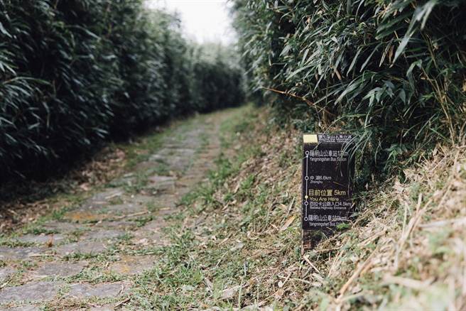 不造成視覺干擾卻又能提供指引，是山徑步道指標設計的重要考量。（攝影／林冠良）