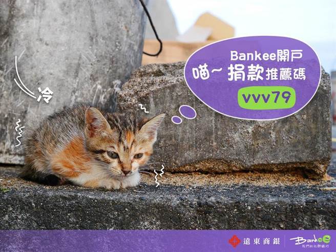气温骤降，浪浪危机再现，但捐款却冷飕飕，对此远东商银Bankee社群银行推出一份心意、两倍力量，加码助浪浪度寒冬。图／远东商银提供