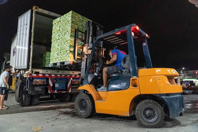 凤梨释迦进入产期，台东已有农民力拚外销到香港。（台东县政府提供／庄哲权台东传真）