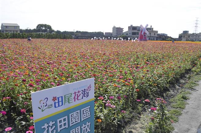 田尾休閒农会打造「花乡田尾嘉年华」，10个主题场馆通通免费入场。(吴建辉／彰化报导)