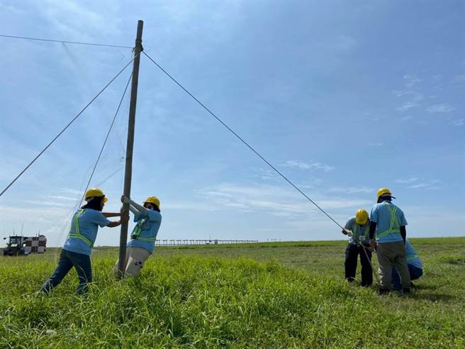 桃园机场架设直立式鸟网等阻隔设施，降低鸟击事件。(桃园机场提供)