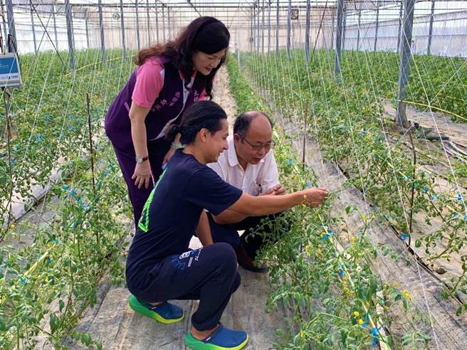嘉義縣太保市返鄉青農官庭安（前）堅持不使用化學農業也能種出品質優良的農產品。（農糧署南區分署提供／張亦惠嘉縣傳真）