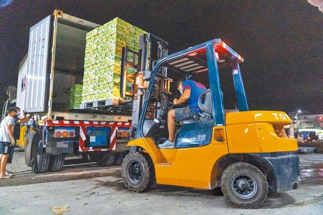 鳳梨釋迦進入產期，台東已有農民力拚外銷到香港。（台東縣政府提供／莊哲權台東傳真）